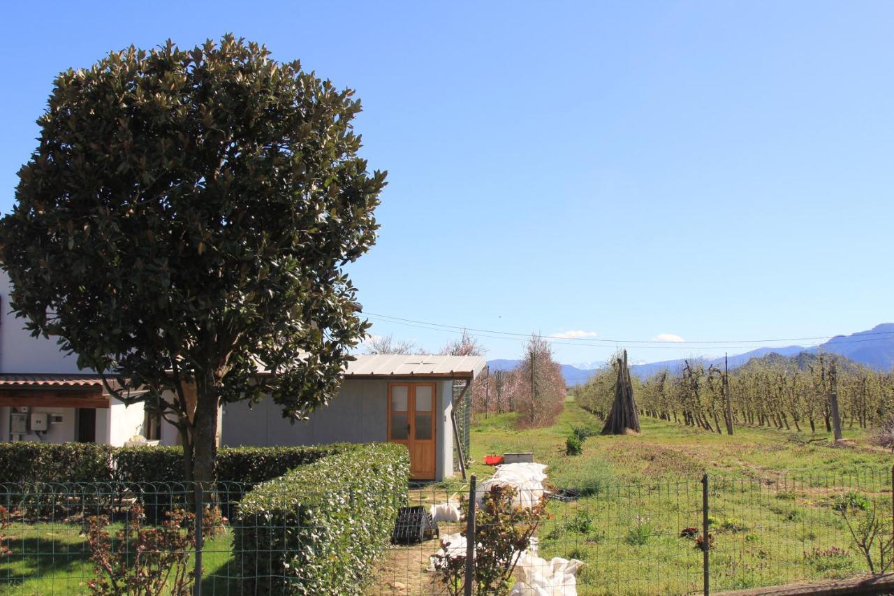 Casa Dell'Amicizia Διαμέρισμα Castellani Εξωτερικό φωτογραφία
